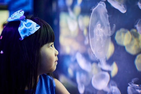 SEA LIFE Melbourne Aquarium Admission Ticket - Hotel Gold Coast 17