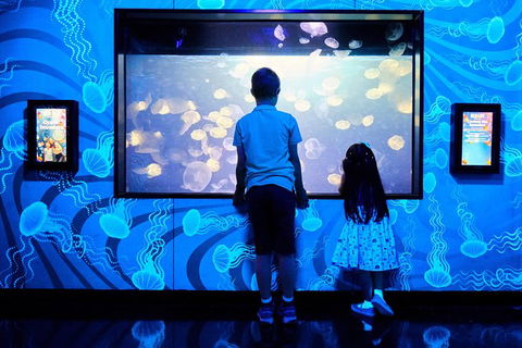 SEA LIFE Melbourne Aquarium Admission Ticket - Hotel Gold Coast 18