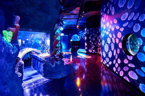 SEA LIFE Melbourne Aquarium Admission Ticket - Hotel Gold Coast 13