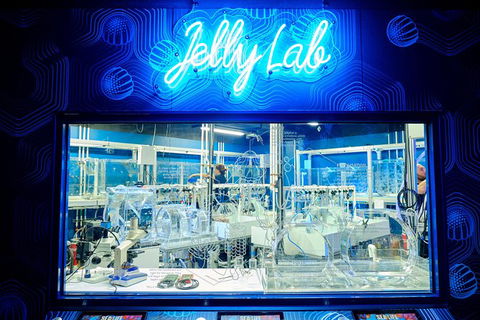 SEA LIFE Melbourne Aquarium Admission Ticket - Hotel Gold Coast 24