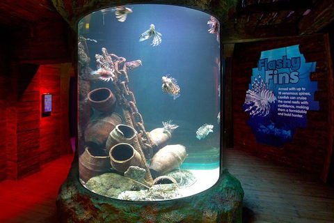 SEA LIFE Melbourne Aquarium Admission Ticket - Hotel Gold Coast 23