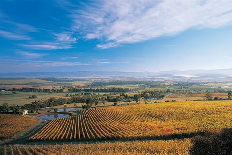 Half Day Yarra Valley Winery Day Trip From Melbourne - Hotel Gold Coast 2