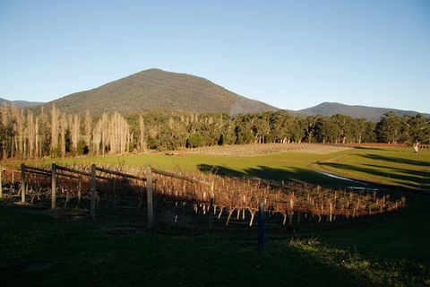 Half Day Yarra Valley Winery Day Trip From Melbourne - Hotel Gold Coast 6