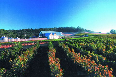 Macedon Ranges Small Group Wine Tour With 2 Course Lunch And Morning Tea - Hotel Gold Coast 4