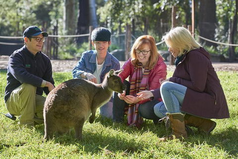 Australian Wildlife Experience At Healesville Sanctuary - Hotel Gold Coast 0