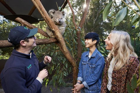 Australian Wildlife Experience At Healesville Sanctuary - Hotel Gold Coast 1