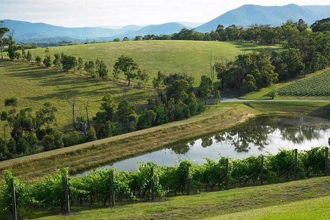 CHEVY CONVERTIBLE Package For 2 People- Wine Lunch Cheese & Chocolate From Melb. - Hotel Gold Coast 9