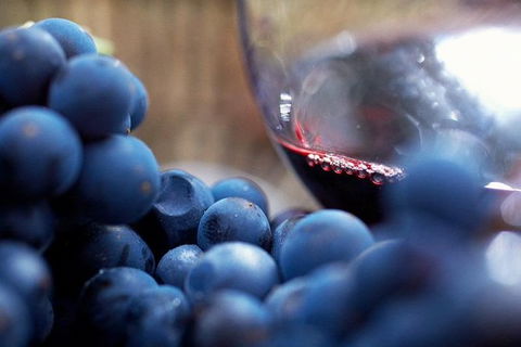 Ultimate Mornington Peninsula Food And Wine Small Group Tour - Hotel Gold Coast 1
