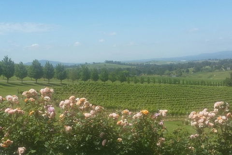 Ultimate Mornington Peninsula Food And Wine Small Group Tour - Hotel Gold Coast 0