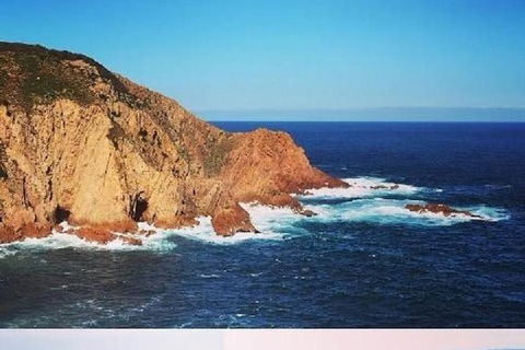 Half Day Phillip Island Woolamai Walking Tour - Hotel Gold Coast 1