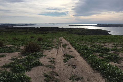 Half Day Phillip Island Woolamai Walking Tour - Hotel Gold Coast 8