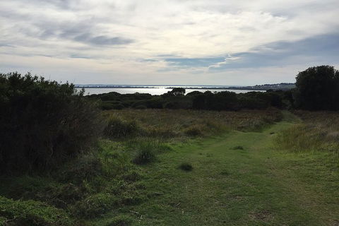 Half Day Phillip Island Woolamai Walking Tour - Hotel Gold Coast 4
