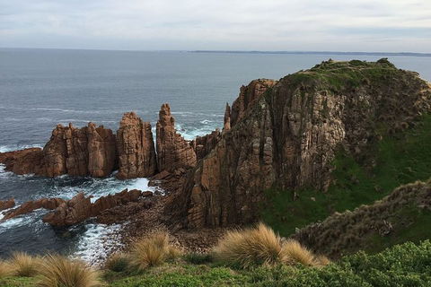Half Day Phillip Island Woolamai Walking Tour - Hotel Gold Coast 16