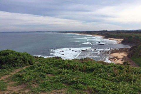 Half Day Phillip Island Woolamai Walking Tour - Hotel Gold Coast 13