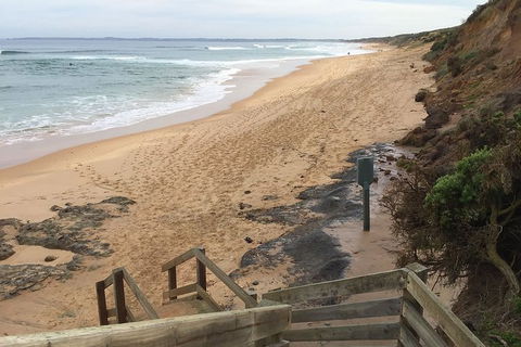 Half Day Phillip Island Woolamai Walking Tour - Hotel Gold Coast 11