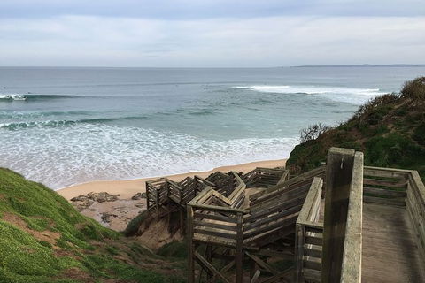 Half Day Phillip Island Woolamai Walking Tour - Hotel Gold Coast 5