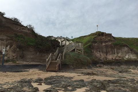 Half Day Phillip Island Woolamai Walking Tour - Hotel Gold Coast 14