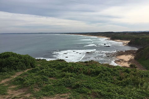 Half Day Phillip Island Woolamai Walking Tour - Hotel Gold Coast 10