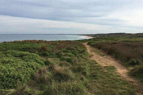 Half Day Phillip Island Woolamai Walking Tour - Hotel Gold Coast 3