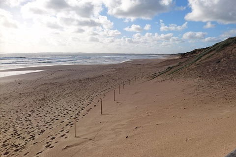 Half Day Phillip Island Woolamai Walking Tour - Hotel Gold Coast 7