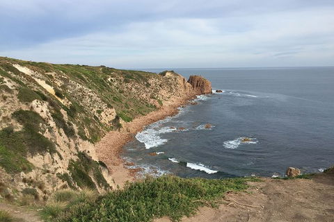 Half Day Phillip Island Woolamai Walking Tour - Hotel Gold Coast 2