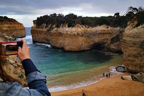 Great Ocean Road Medium Size Group Tour - Hotel Gold Coast 1