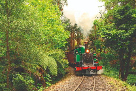 Half Day Puffing Billy Train Journey From Melbourne - Hotel Gold Coast 2