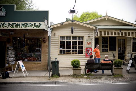 Half Day Puffing Billy Train Journey From Melbourne - Hotel Gold Coast 10