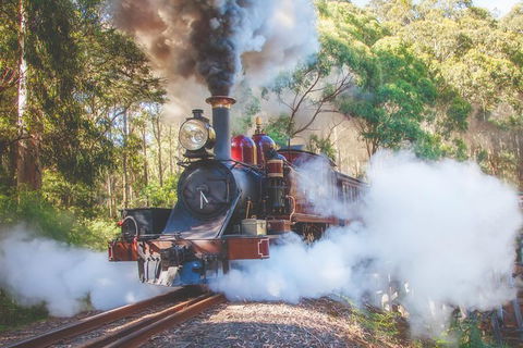Half Day Puffing Billy Train Journey From Melbourne - Hotel Gold Coast 4