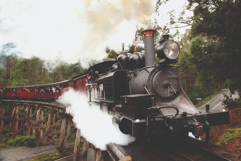 Half Day Puffing Billy Train Journey From Melbourne - Hotel Gold Coast 3