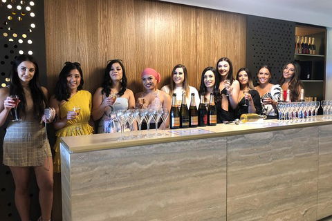 Yarra Valley Public Winery Tours - Hotel Gold Coast 0