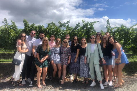 Yarra Valley Public Winery Tours - Hotel Gold Coast 16