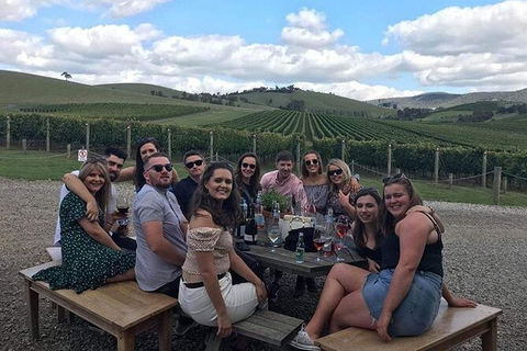 Yarra Valley Public Winery Tours - Hotel Gold Coast 12