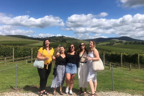 Yarra Valley Public Winery Tours - Hotel Gold Coast 15