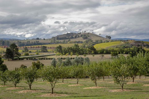 Yarra Valley Public Winery Tours - Hotel Gold Coast 5