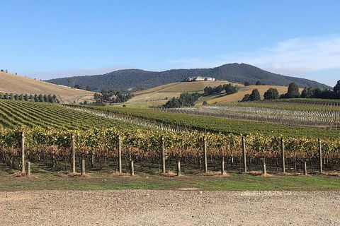 Yarra Valley Public Winery Tours - Hotel Gold Coast 17