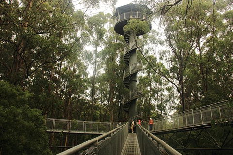 Private Overnight Camping Trip From Melbourne (price Is Per Group) - Hotel Gold Coast 10