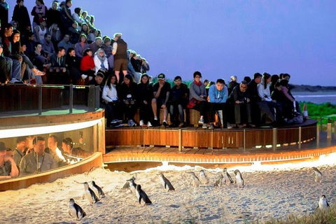 Private Overnight Camping Trip From Melbourne (price Is Per Group) - Hotel Gold Coast 11