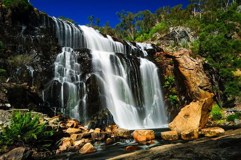 Private Overnight Camping Trip From Melbourne (price Is Per Group) - Hotel Gold Coast 7