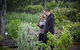 Guided Edible Forest Tour - thumb 1