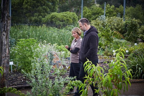 Guided Edible Forest Tour - Hotel Gold Coast 1