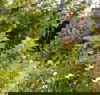 Guided Edible Forest Tour - Hotel Gold Coast