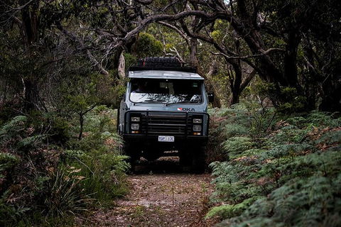 Phillip Island And French Island Wildlife Expedition - Hotel Gold Coast 6