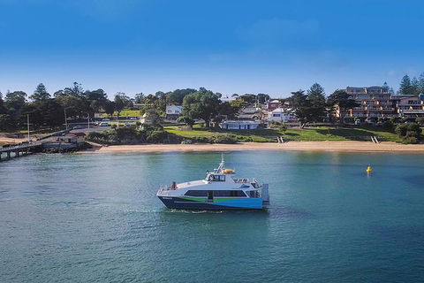 Phillip Island And French Island Wildlife Expedition - Hotel Gold Coast 3