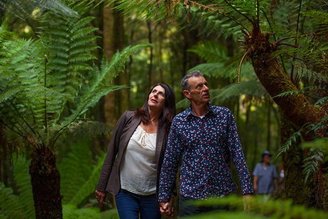 West Coast Wilderness Railway: River And Rainforest From Strahan - Hotel Gold Coast 3