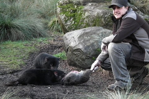 Sunset Experience - Hotel Gold Coast 4