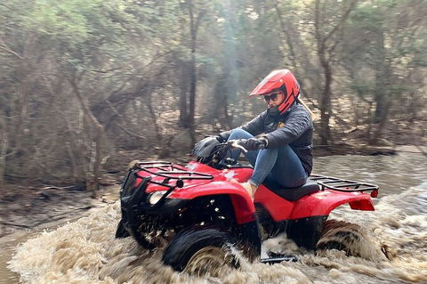 Half-Day Guided ATV Exploration Tour From Coles Bay - Hotel Gold Coast 7