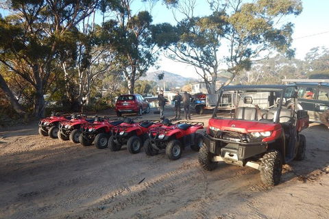 Half-Day Guided ATV Exploration Tour From Coles Bay - Hotel Gold Coast 4