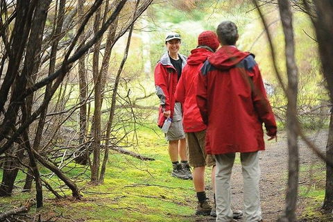 Great Walks Of Australia: 4-Day Freycinet Experience Walk - Hotel Gold Coast 7