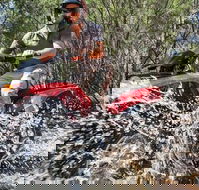 Quad Bike 2-Hour Adventure Freycinet National Park - Hotel Gold Coast